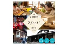 与謝野町 観光クーポン　3,000円分　町内の宿泊・飲食・体験に使用できる便利なチケット【1580580】