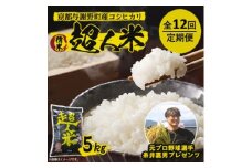 ＜毎月定期便＞超人米　京都与謝野町産コシヒカリ 5kg　元プロ野球選手「糸井嘉男」プレゼンツ全12回【4058747】