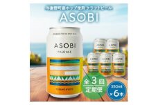 ＜毎月定期便＞＜与謝野町産ホップ使用クラフトビール＞ ASOBI　350ml ×6本セット全3回【4060418】