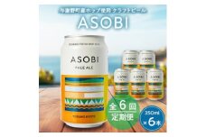 ＜毎月定期便＞＜与謝野町産ホップ使用クラフトビール＞ ASOBI　350ml ×6本セット全6回【4060419】