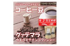 ＜毎月定期便＞コーヒー豆　グァテマラ ウエウエテナンゴファンシー　200g×2　遠赤外線焙煎全3回【4063190】