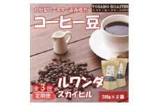 ＜毎月定期便＞コーヒー豆　ルワンダ スカイヒル　200g×2袋　こだわり遠赤外線焙煎全3回【4063206】