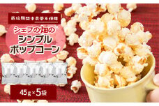 栽培期間中、農薬を使わず自家栽培　シェフの畑のシンプルポップコーン　5袋(45g×5袋)与謝野町産豆【1604133】
