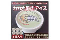 カカオ果肉入りアイス　バニラアイスと甘酸っぱい果肉が相性バツグンのアイスクリーム　京都与謝野町より【1623418】