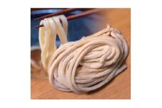 へじや製麺のうどん生麺10食セット 細麺タイプ　ぶっかけ(温)用特製だしつゆ付【1637098】