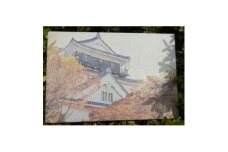 御城印帳(岡崎城)【1665405】