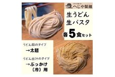 生パスタ・生うどんセット　もっちり生パスタ×5食+うどん太麺(ぶっかけ(冷)用特製だしつゆ付)×5食【1665944】