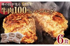 堺の技が光る無添加の牛肉100％ハンバーグ　6食セット