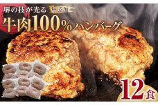 堺の技が光る無添加の牛肉100％ハンバーグ　12食セット