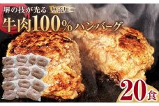堺の技が光る無添加の牛肉100％ハンバーグ　20食セット
