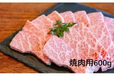 大阪ウメビーフ　焼肉用600g