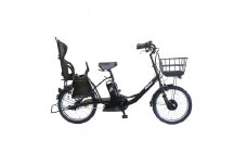 【100％完成納品】PELTECH（ペルテック）後チャイルドシート付子供乗せ適用電動アシスト自転車 20型内装3段 TDN-207LP-8 AH-CH【マットブラック】