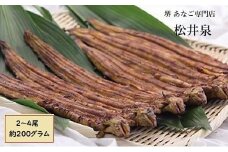 堺あなご専門 松井泉　あなご屋社長におまかせ 焼あなご 約200g（2～4尾）