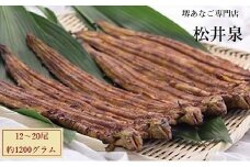 堺あなご専門 松井泉　あなご屋社長におまかせ 焼あなご 約1200g（12～20尾）