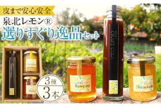 泉北レモン(R)選りすぐり逸品 3本セット