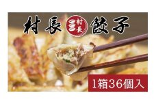 素材にこだわった おにぎり村「村長餃子」36個入り