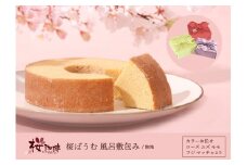【桜珈琲】桜ばうむ 風呂敷包み 無地(カラーお任せ)