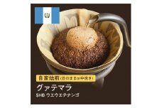 【豆】#004 グァテマラ SHB ウエウエテナンゴ コーヒー豆 310g 自家焙煎 大山珈琲