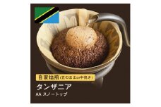 【粉】#008 タンザニア AA スノートップ コーヒー豆 310g 自家焙煎 大山珈琲