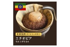【粉】#012 モカ シダモG-4 コーヒー豆 310g 当日焙煎 大山珈琲