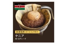 【豆】#013 ケニア AA Qグレード コーヒー豆 310g 当日焙煎 大山珈琲