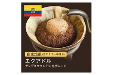 【粉】#021 エクアドル アンデスマウンテン Qグレード コーヒー豆 310g 当日焙煎 大山珈琲