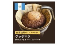 【豆】#049 グァテマラSHB カフェピューマ Qグレード コーヒー豆 310g 当日焙煎 大山珈琲