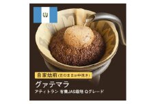 【粉】#065 グァテマラ アティトラン Qグレード コーヒー豆 310g 当日焙煎 大山珈琲