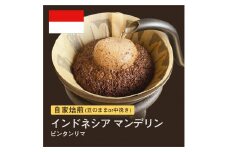 【粉】#075 インドネシア マンデリン ビンタンリマ コーヒー豆 310g 当日焙煎 大山珈琲