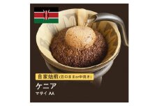 【粉】#088 ケニア マサイ AA コーヒー豆 310g 当日焙煎 大山珈琲