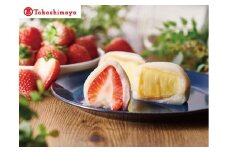 〈一心堂〉完熟フルーツ大福６個入　〈高島屋選定品〉
