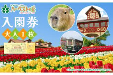 ハーベストの丘入園券　大人