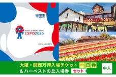 【堺市ふるさと納税】大阪・関西万博入場チケット＜一日券／中人＞ + ハーベストの丘入園券