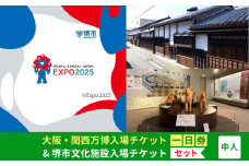 【堺市ふるさと納税】大阪・関西万博入場チケット＜一日券／中人＞ + 堺市文化施設めぐりチケットセット