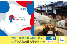 【堺市ふるさと納税】大阪・関西万博入場チケット＜一日券／小人＞ + 堺市文化施設めぐりチケットセット