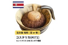 【豆】コーヒー #071 コスタリカ セントタラス SHB ガンボア農園 310g 当日焙煎 大山珈琲
