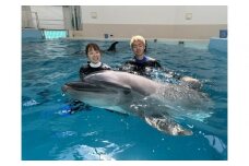 ノアドルフィンドーム　ドルフィンスイム体験　ペア入場券付