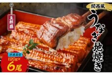 関西風うなぎ地焼き 冷凍真空 6尾×120g うなぎ ウナギ タレ 老舗 伝統 蒲焼き 真空パック 小分け 丑の日 ひつまぶし うな重 お取り寄せ グルメ プレゼント 贈答 贈り物 土用の丑の日 五郎藤 大阪府 堺市