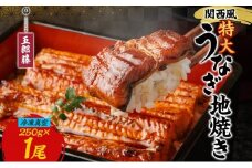 関西風うなぎ地焼き特大 冷凍真空 1尾×250g うなぎ ウナギ タレ 老舗 伝統 蒲焼き 真空パック 小分け 丑の日 ひつまぶし うな重 お取り寄せ グルメ プレゼント 贈答 贈り物 土用の丑の日 五郎藤 大阪府 堺市
