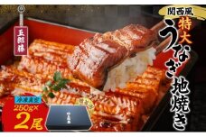 関西風うなぎ地焼き特大 冷凍真空 2尾×250g  贈答 うなぎ ウナギ タレ 老舗 伝統 蒲焼き 小分け 丑の日 ひつまぶし うな重 お取り寄せ グルメ プレゼント 贈答 贈り物 土用の丑の日 五郎藤 大阪府 堺市