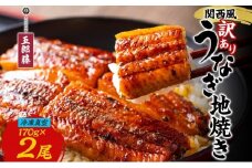 関西風 訳ありうなぎ地焼き 冷凍真空 2尾×170g うなぎ ウナギ タレ 老舗 伝統 蒲焼き 小分け 丑の日 ひつまぶし うな重 お取り寄せ グルメ プレゼント 贈答 贈り物 土用の丑の日 五郎藤 大阪府 堺市