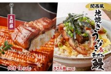関西風地焼き鰻 ＆きざみ鰻セット 各1 冷凍真空 うなぎ きざみ鰻 ウナギ タレ 老舗 伝統 蒲焼き 小分け 丑の日 ひつまぶし うな重 お取り寄せ グルメ プレゼント 贈答 贈り物 土用の丑の日 五郎藤 大阪府 堺市