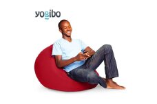 Yogibo Mini ( ヨギボー ミニ ) レッド [ インテリア 寝具 ファッション ] [№5385-0098]