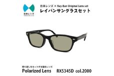 国産偏光レンズ使用オリジナルレイバンサングラス(RX5345D 2000)　偏光グレー60%レンズ [№5385-0394]