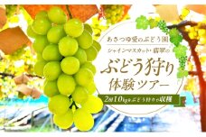 あさつゆ愛のぶどう園シャインマスカット翡翠のぶどう狩り体験ツアー2房1kg [№5385-0490]