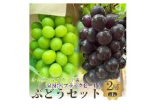 夏一番　シャインマスカット翡翠+泉湧誉　2房セット [№5385-0494]