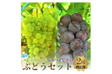 夏一番　あづましずく+エーデルワイス　2房セット [№5385-0492]