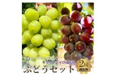 おすすめ感謝セット　マッターホルン+キリマンジャロ　2房セット [№5385-0497]