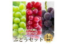 おすすめ感謝セット　シャインマスカット2房+クイーンセブン+泉湧誉　4房セット [№5385-0501]