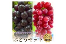 おすすめ感謝セット　クイーンセブン+泉湧誉 2房セット [№5385-0503]